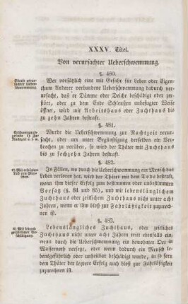 XXXV. Titel. Von verursachter Ueberschwemmung
