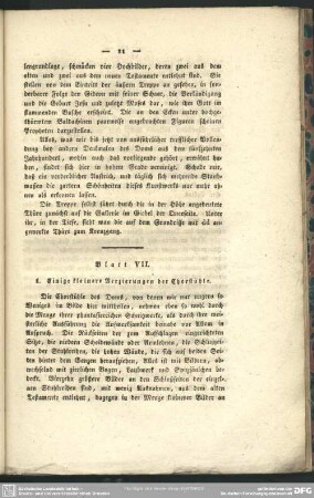 Blatt VII. Einige kleinere Verzierungen der Chorstühle
