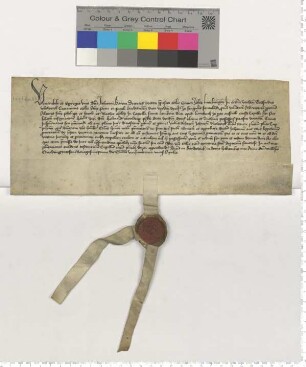 Dem Propste zu St. Johannis Dr. Joh. Barum präsentiert der Bardowicker Domherr Godfrid Vluwerck für eine Vikarie am Phil., Jac., Mathie Altar zu St. Lamberti den Joh. Vluwerck.