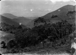 Waldgebirge : Berglandschaft mit Vegetation