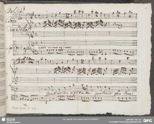 Aria: Quest'anima agitata