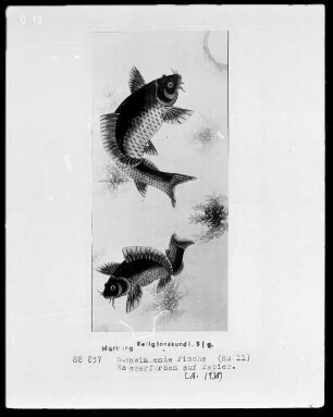 Schwimmende Fische