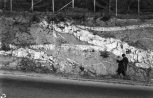 Quarzgänge im Granit : Quarzgänge im Granit bei Valparaíso.