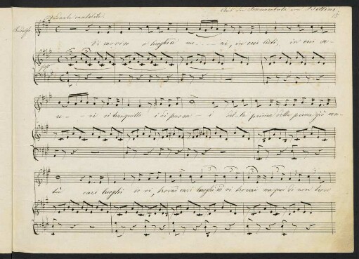 La Sonnambula