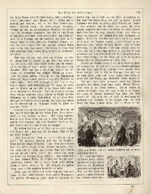 "Die Rache der Leibkutscher"