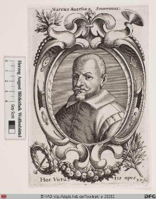 Bildnis Marco Aurelio Severino