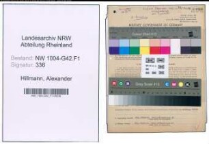 Entnazifizierung Alexander Hillmann , geb. 23.04.1899 (Buchhalter)