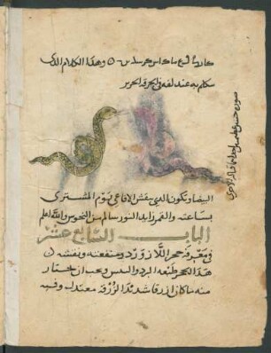 Illustration: Begegnung zweier Schlangen