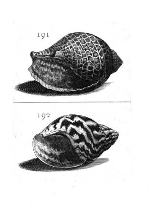 191. - 192.