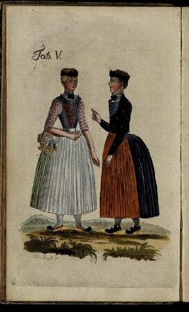 Tab. V. [zu S.27 f.]