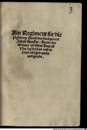 Ain kurtz Regiment für die Pestilenz