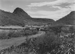 Terrassenfeldbau : Terrassenfelder am Fuß eines markanten Felsens an der Straße Asmara-Dekemhare