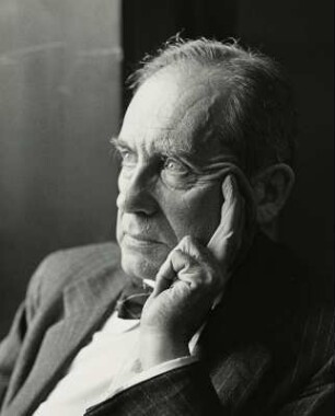 Der Architekt Walter Gropius