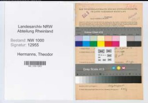 Entnazifizierung Theodor Hermanns, geb. 22.12.1896 (Telegrafenass.)