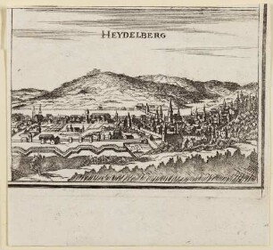 Heidelberg, Stadt und Schloss von Süden