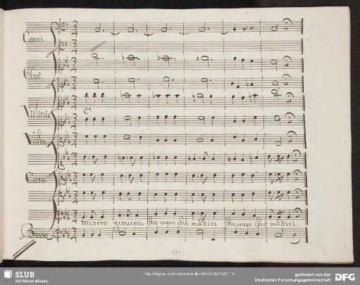 Coro: Misero giovine che vuoi che mediti