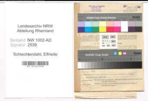 Entnazifizierung Elfriede Schlechtendahl, geb. 01.04.1893 (Verw.Angestellte)