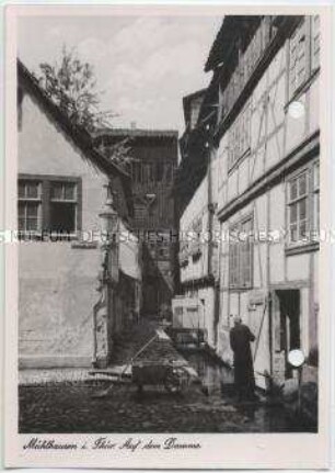 Mühlhausen in Thüringen, Auf dem Damme