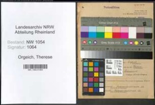 Entnazifizierung Therese Orgeich , geb. 04.01.1895 (Postass.)