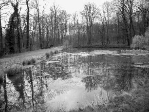 Sachgesamtheit Gut und Park Windhausen; Niestetal, Gut Windhausen, Windhäuser Wald, Schlag IV VI VII, Schlag I, Gut Windhausen 9, Gut Windhausen 8, Gut Windhausen 7, Gut Windhausen 6, Gut Windhausen 5, Gut Windhausen 4, Gut Windhausen 2, Gut Windhausen 10, Affenteich