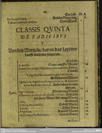 Classis Quinta De Radicibus