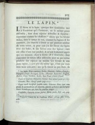 Le Lapin.