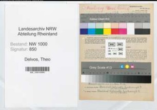 Entnazifizierung Theo Delvos, geb. 18.08.1906 (Hilfsarbeiter)