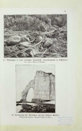 42. Kreidefelsen bei Barbados auf den kleinen Antillen