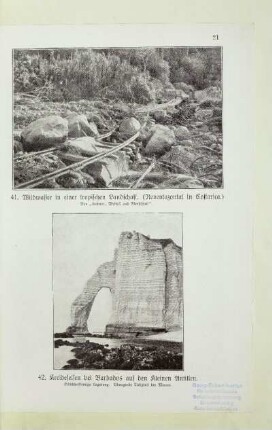 42. Kreidefelsen bei Barbados auf den kleinen Antillen