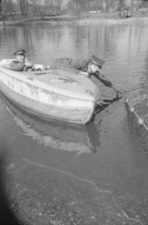 Fischsterben im Schwanensee des Stadtgartens