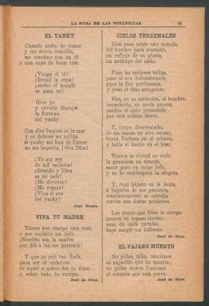 El pájaro muerto