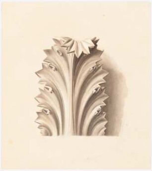 Pflanzliche Ornamente: Ansicht