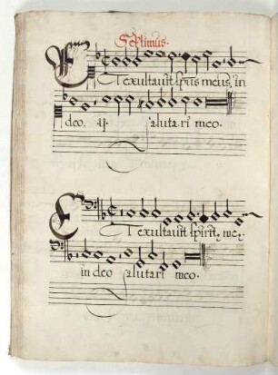 Septimus Tonus