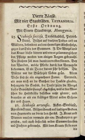 Vierte Klasse. Mit vier Staubfäden. Tetrandria