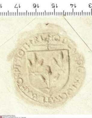 Johannes de Cardona, Bailli des Johanniterordens auf Mallorca (Baiulius Maioricarum), Seneschall und Leutnant (locumtenens) des Meisters (reverend...