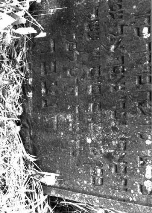 Grabstein 1050 (Index: 100098946) Maße HxBxT: 151x66x10 cm Symbolik: Levitenkanne: Grabstein 1050C