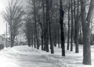 Straßenraum in Schleife : Dorfsiedlungen. Ort: Slepo / Schleife. Dorfplatz von Schleife