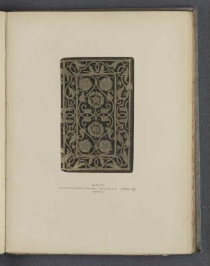 Plate XXV.