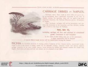 Carriage drives in Naples