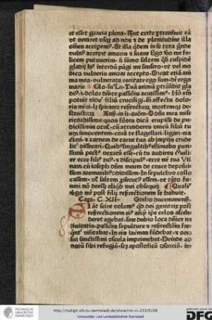 Si autem scire volumus quid dei genitrix post resurrectionem eius antequam ipse celos ascenderet agebat...
