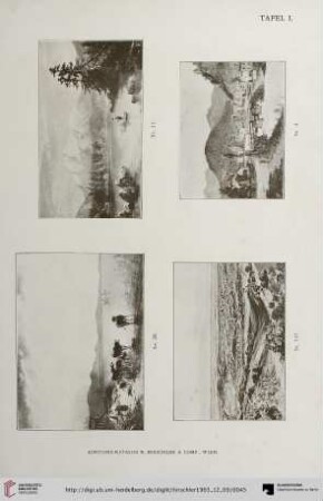 Tafel I-VIII