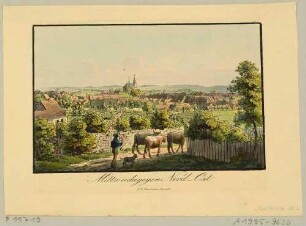 Stadtansicht von Mittweida in Mittelsachsen, Blick von Nordosten, mit Kühen im Vordergrund