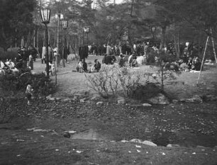 Kyoto. Blütenfest (wahrscheinlich im Februar zur Pflaumenblüte auf dem Gelände des Kitano Tenmangū Schreins im Norden der Stadt)
