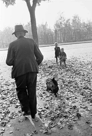 Spaziergang im Herbst