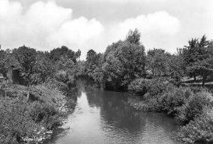 Guttau-Halbendorf/Spree. Die Spree, Ansichtskarte