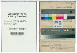Entnazifizierung Joseph Schweins , geb. 14.08.1890 (Provinzialbeamter)
