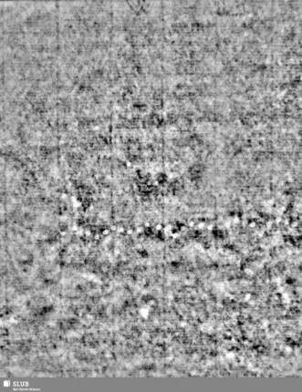 Lilienschild + IESV / LW = Bd.1, S.15/16