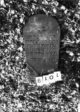 Grabstein 1019