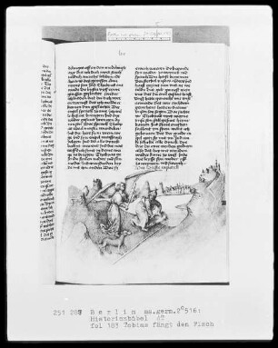 Historienbibel des Alten Testaments — Tobias fängt den Fisch, Folio 183recto