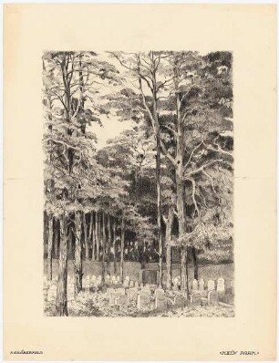 Waldfriedhof Wilmersdorf, Stahnsdorf: Perspektivische Ansicht mit Blick auf das Gräberfeld
